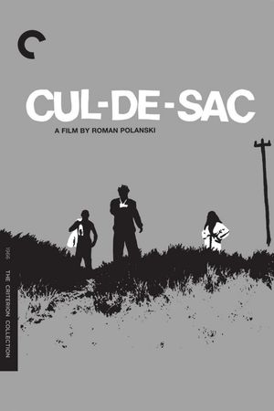 Cul-de-sac's poster