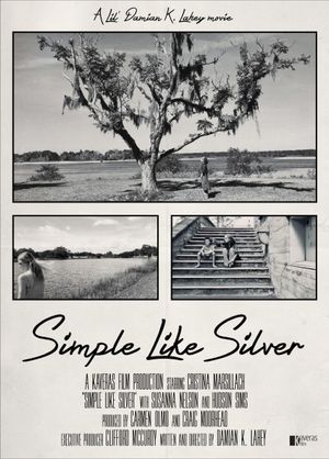 Simple Like Silver's poster