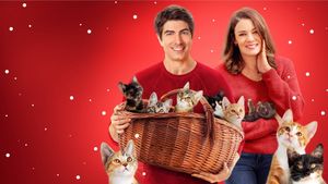 The Nine Kittens of Christmas's poster