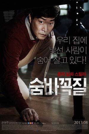 Hide and Seek's poster