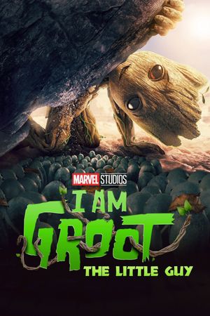 The Little Guy's poster