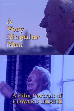 A Very Singular Man's poster