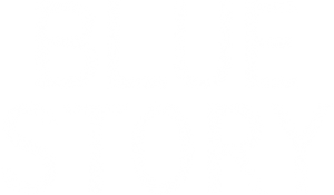 Blue Story's poster