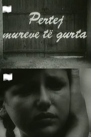 Përtej mureve të gurta's poster image