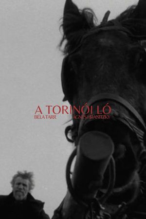 The Turin Horse's poster