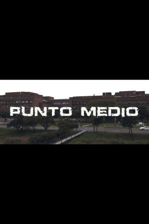 Punto medio's poster