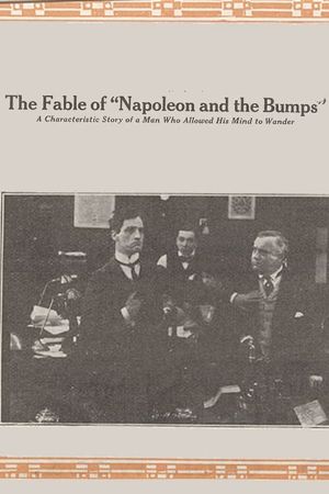 The Fable of Napoleon and the Bumps's poster
