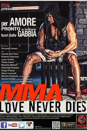 The Final Fight's poster