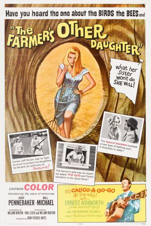 The Farmer's Other Daughter's poster