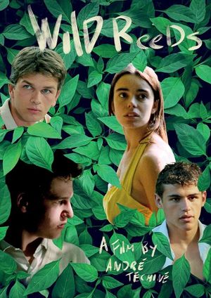 Wild Reeds's poster