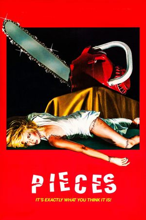 Pieces's poster