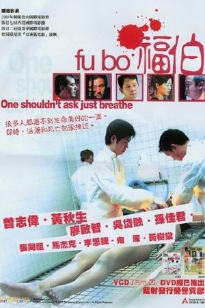 Fu bo's poster