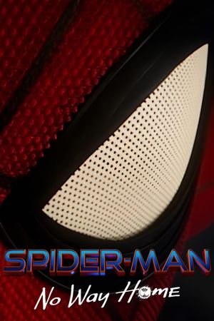 Spider-Man: No Way Home's poster