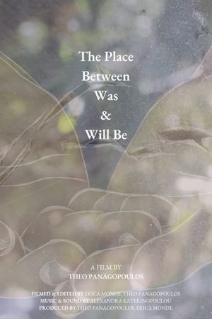 The Place Between Was & Will Be's poster image