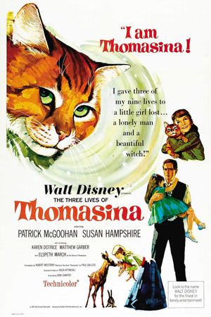 The Three Lives of Thomasina's poster