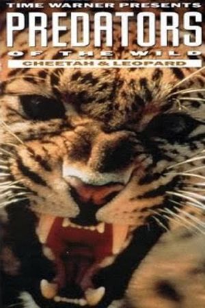 Predators of the Wild: Cheetah and Leopard's poster