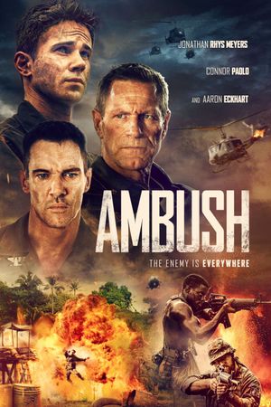 Ambush's poster