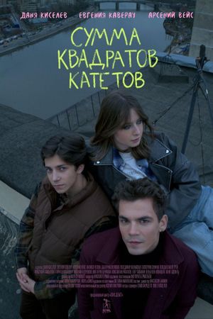Сумма квадратов катетов's poster