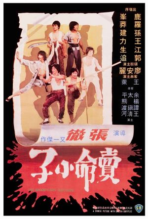 The Magnificent Ruffians's poster