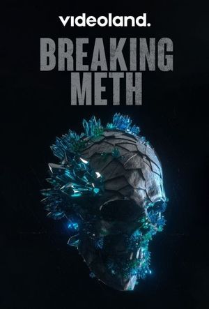 Breaking Meth's poster