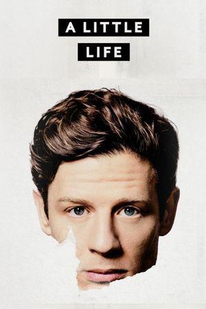 A Little Life's poster