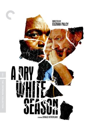 A Dry White Season's poster