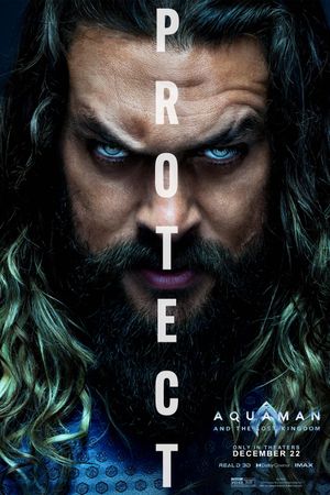 Aquaman and the Lost Kingdom's poster