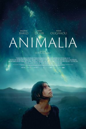 Animalia's poster