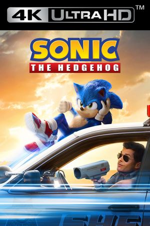 Sonic the Hedgehog's poster