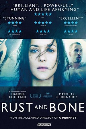 Rust and Bone's poster