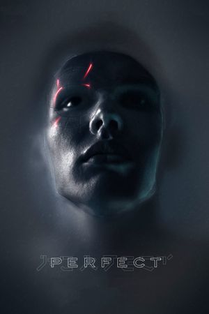 Perfect's poster