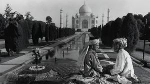 Shiraz's poster