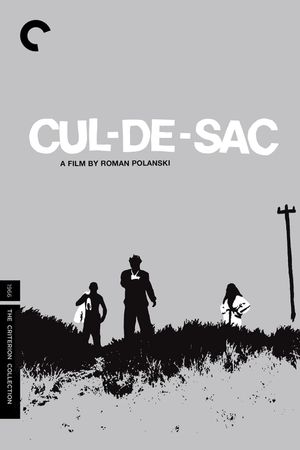 Cul-de-sac's poster