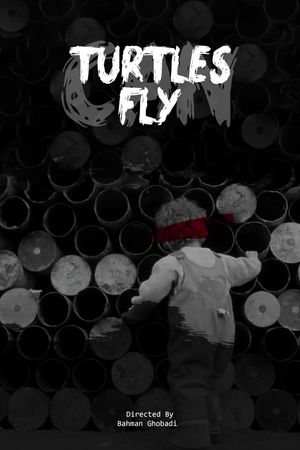 Turtles Can Fly's poster