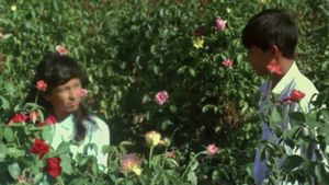 Butterfly and Flowers's poster