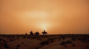 The Searchers's poster