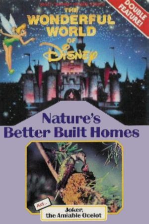 Nature's Better Built Homes's poster