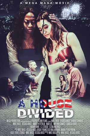 A House Divided's poster