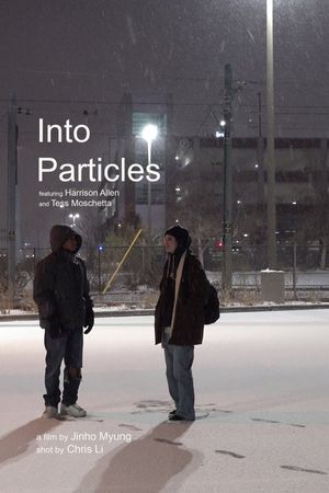 Into Particles's poster