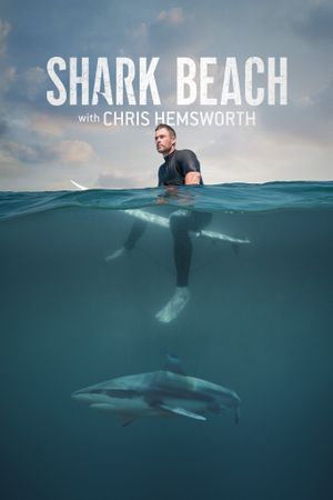 Shark Beach With Chris Hemsworth's poster