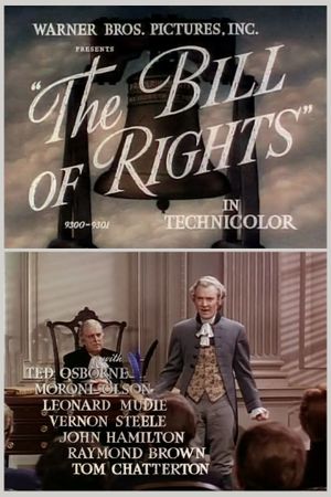 The Bill of Rights's poster image