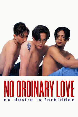 No Ordinary Love's poster