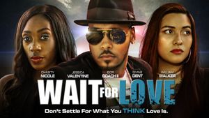 Wait for Love's poster