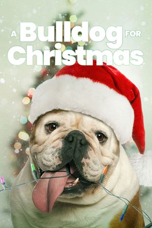 A Bulldog for Christmas's poster