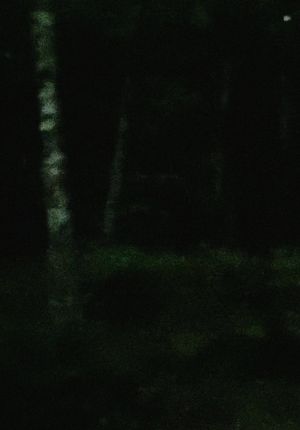 light rain, empty mind's poster