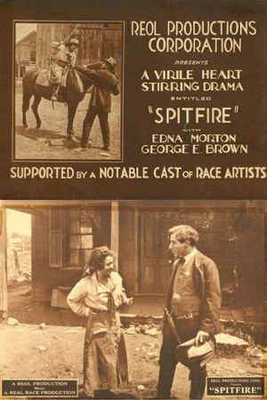 Spitfire's poster