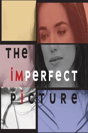 The Imperfect Picture's poster