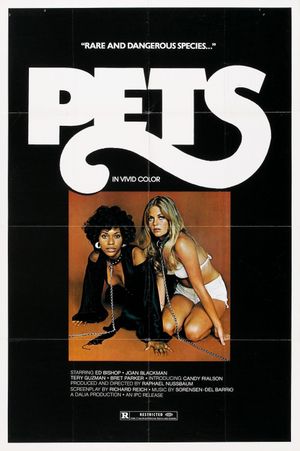 Pets's poster