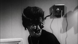 The Wasp Woman's poster