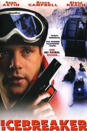 Icebreaker's poster